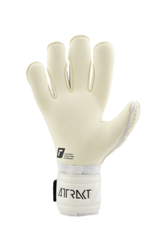 Reusch golmanske rukavice ATTRAKT GOLD ALPHA #KSEDITION 