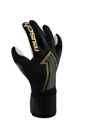 Reusch golmanske rukavice Fastgrip Silver 
