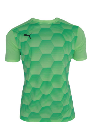 Puma golmanski dres TEAMFINAL 21 GRAPHIC 