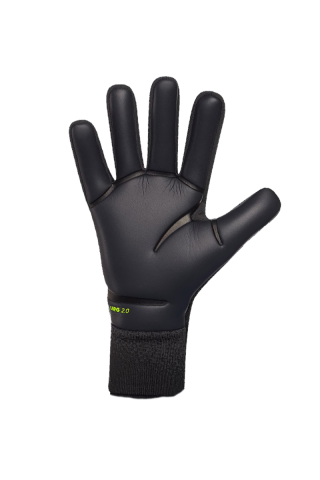Adidas golmanske rukavice Predator Pro Electric Stealth 
