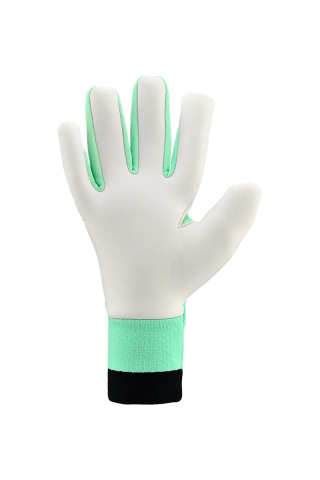 Adidas golmanske rukavice Predator Pro NC Final Rush 