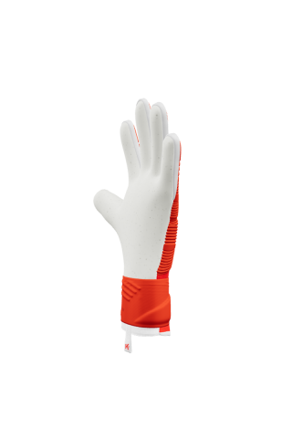 Keepersport golmanske rukavice VARAN8 PRO NC 