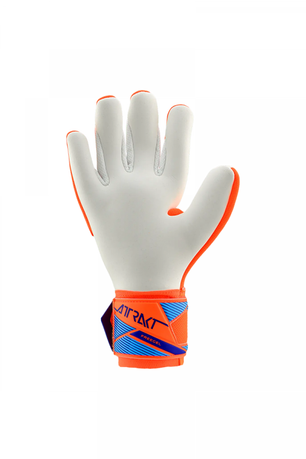 Reusch golmanske rukavice Attrakt Freegel Advance 