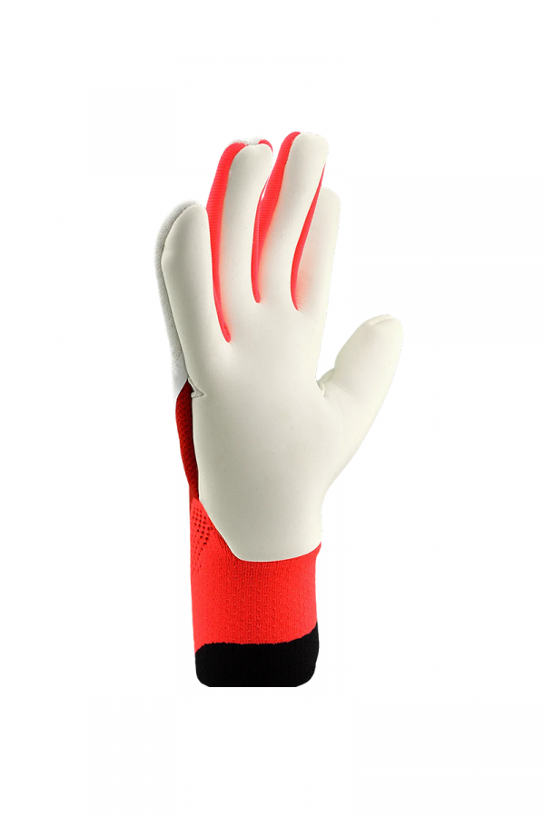 Adidas golmanske rukavice Predator Pro Born for Goals 
