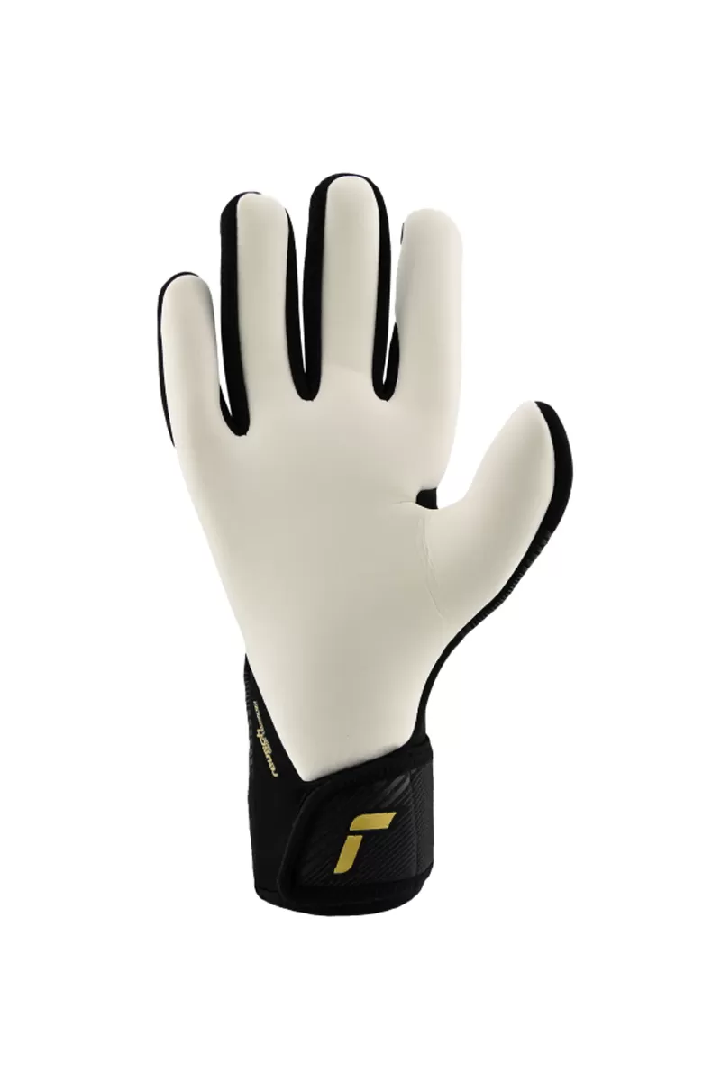 Reusch golmanske rukavice Fastgrip Silver 