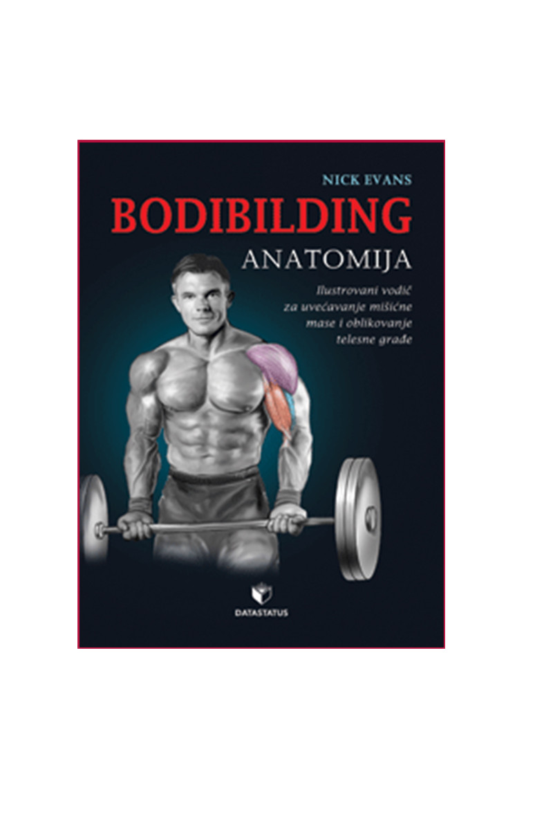 Bodibilding: anatomija 