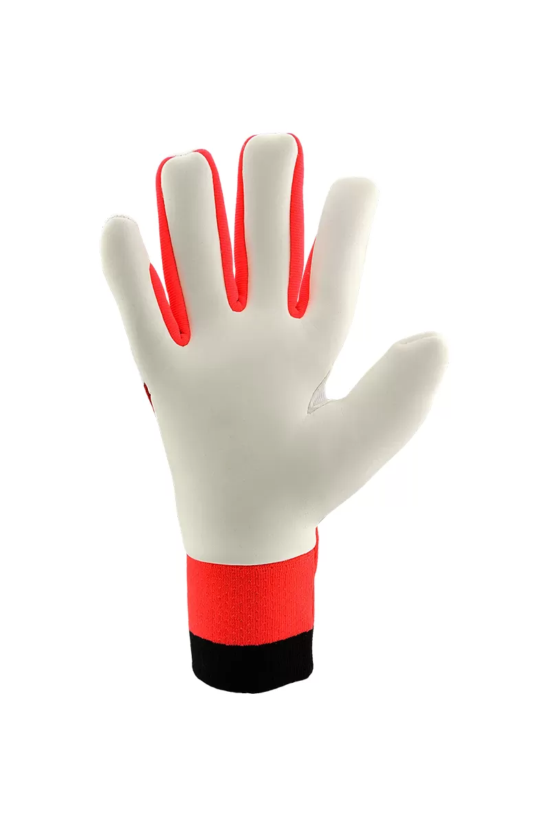 Adidas golmanske rukavice Predator Pro Born for Goals 